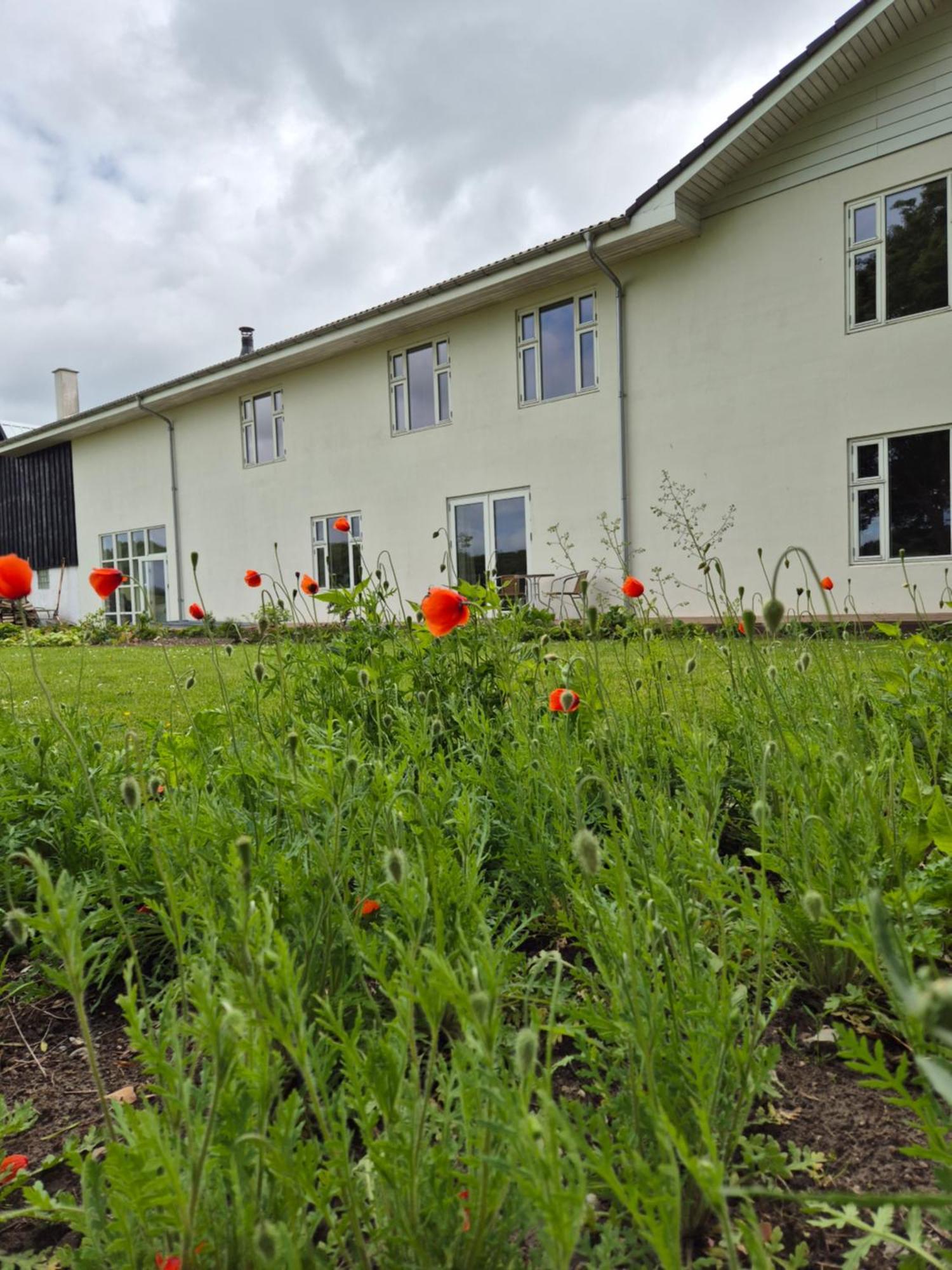 Mols Bed & Breakfast Knebel Bagian luar foto