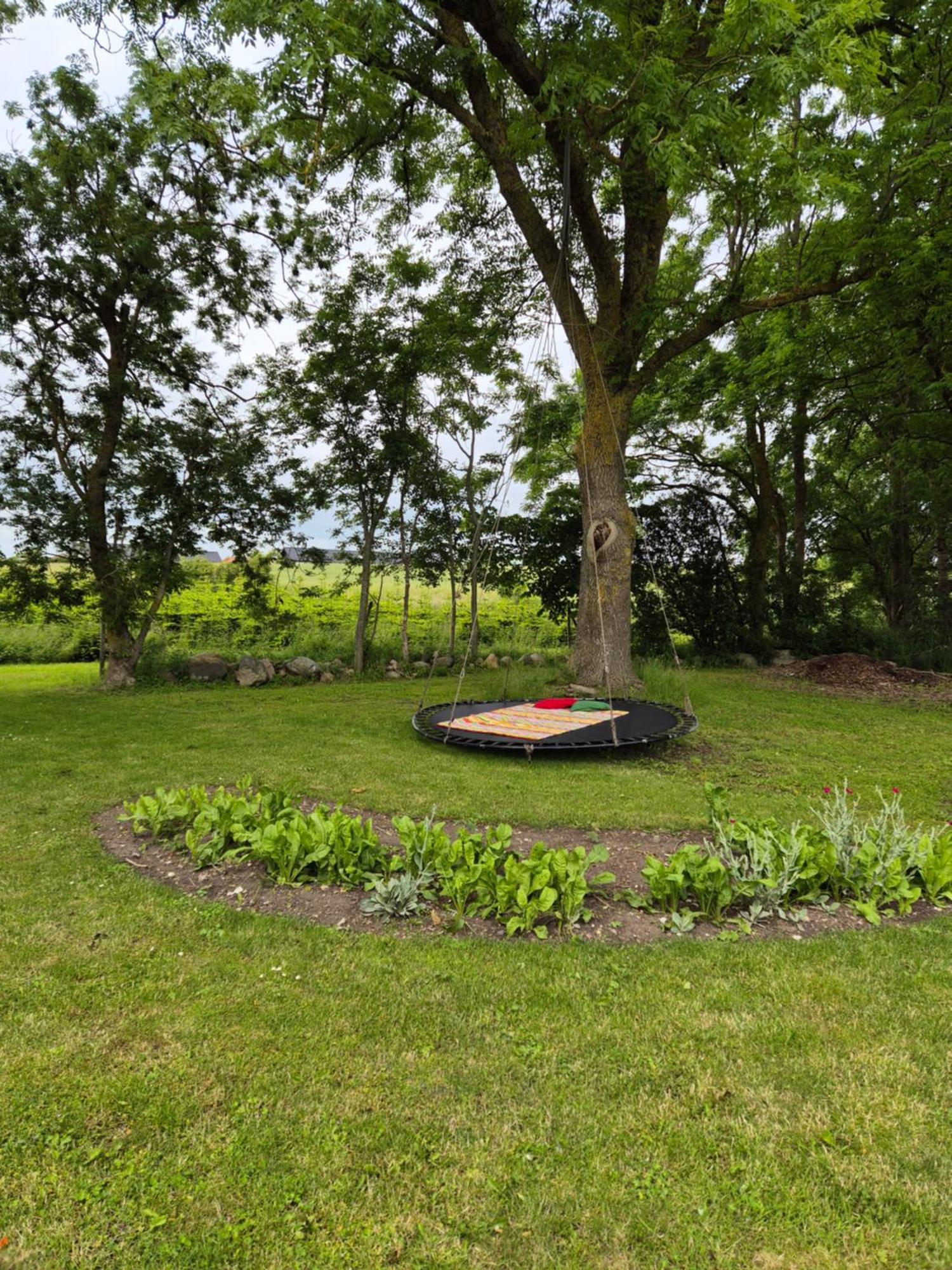Mols Bed & Breakfast Knebel Bagian luar foto