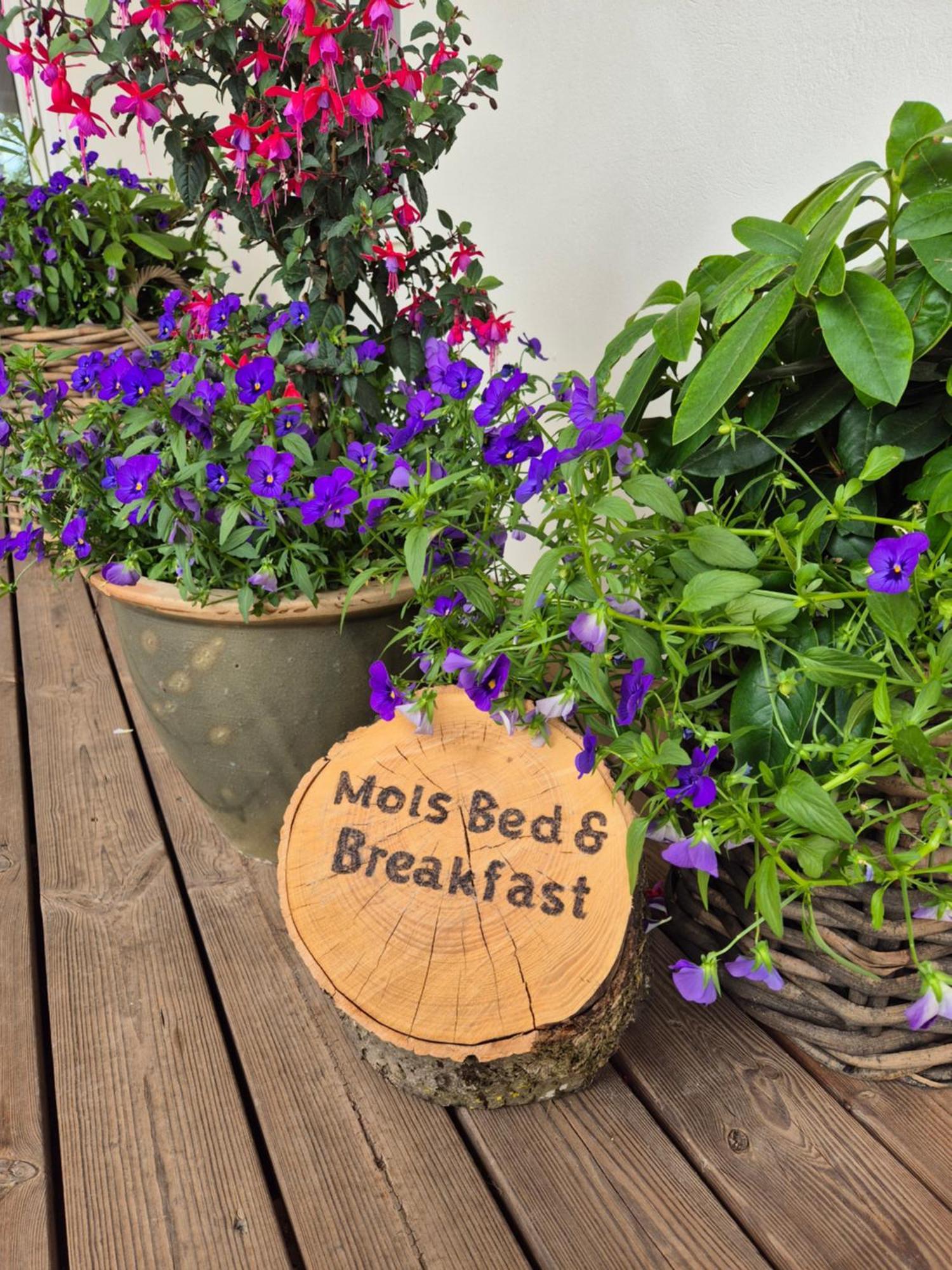 Mols Bed & Breakfast Knebel Bagian luar foto